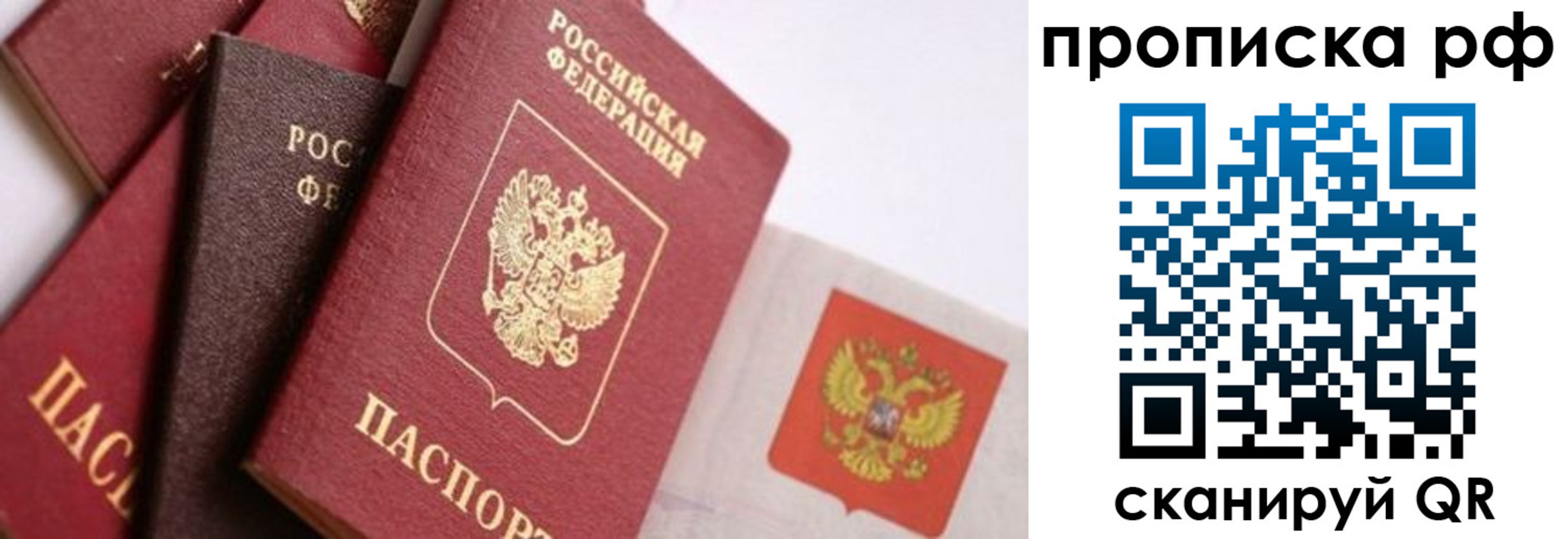 найти адрес прописки в Гусеве